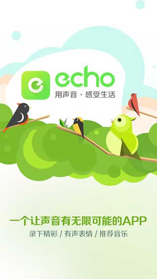 echo回声截图