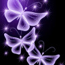 梦幻紫蝶动态壁纸