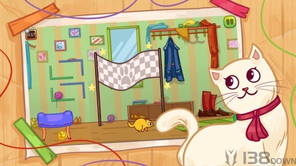 家里的猫