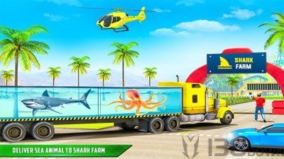 鲨鱼运输车
