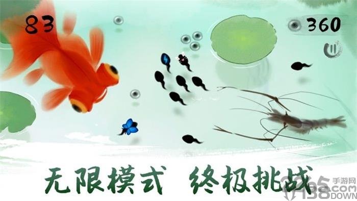 墨虾探蝌2