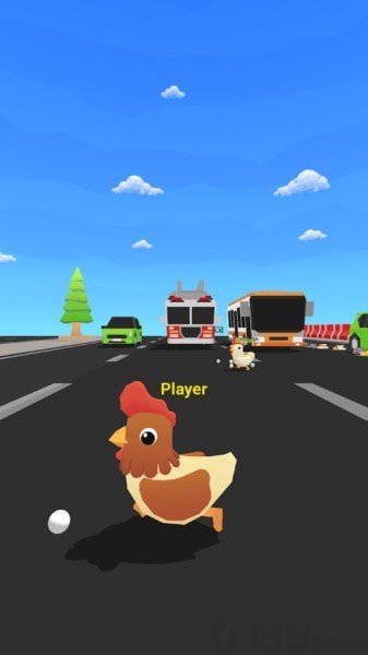 公鸡过马路1