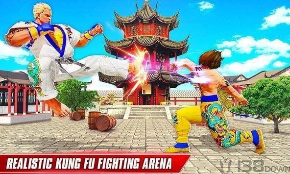 空手道功夫格斗