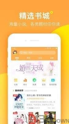 七星猫小说