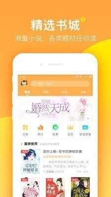 七星猫小说截图