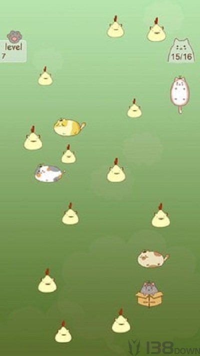 抓住流浪猫