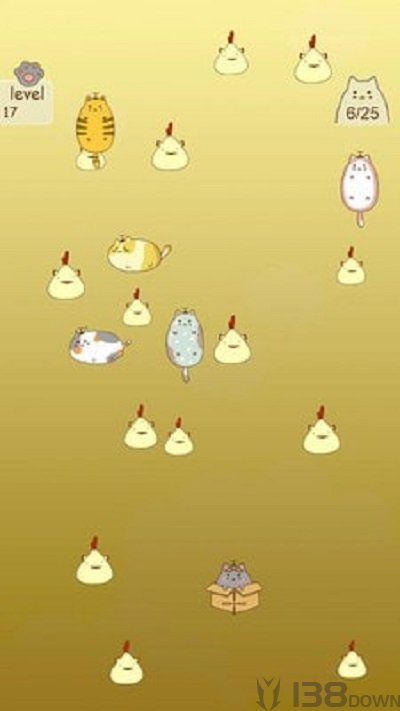 抓住流浪猫