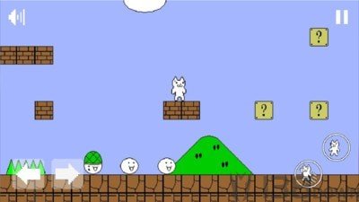 沙雕猫里奥