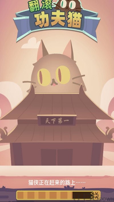 翻滚功夫猫