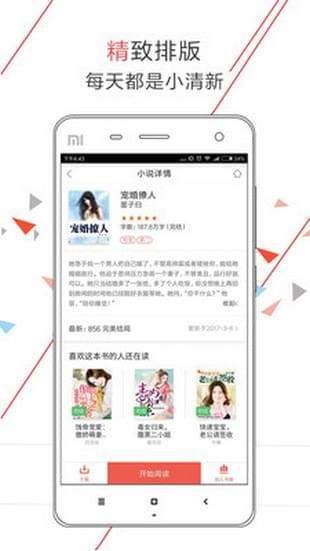 小说之王截图