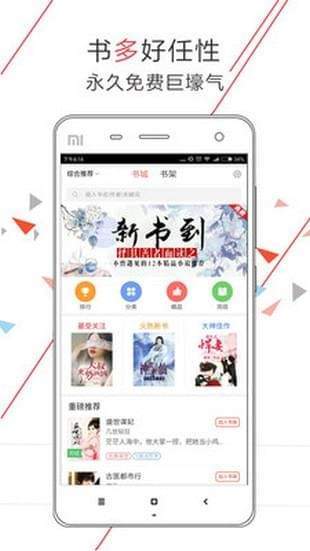 小说之王截图