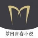 梦回青春小说