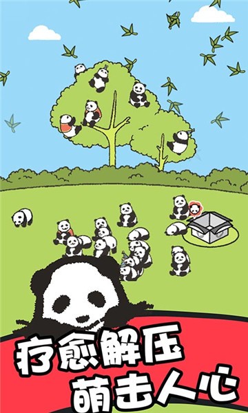 熊猫森林