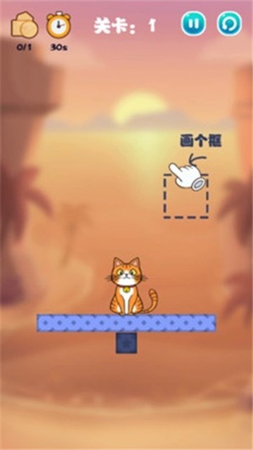 猫咪去哪儿了