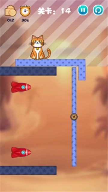 猫咪去哪儿了