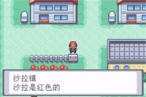 口袋妖怪叶绿gba