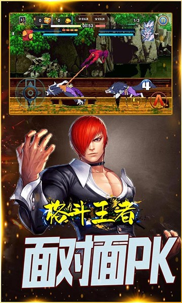 格斗王者截图