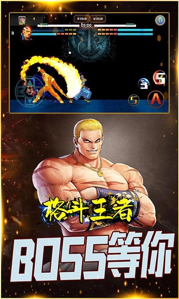 格斗王者截图