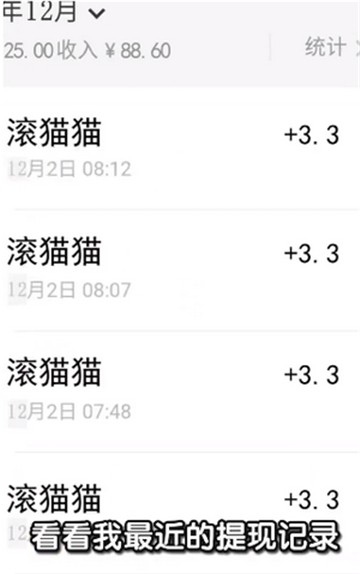 滚猫猫