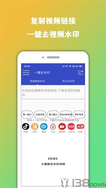 视频去水印大师
