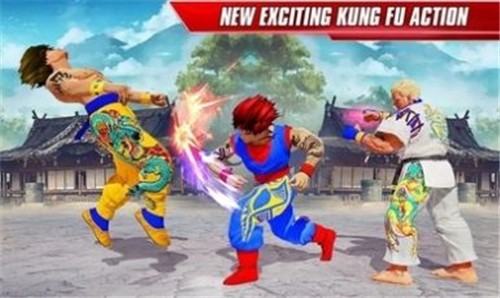 功夫格斗领域截图