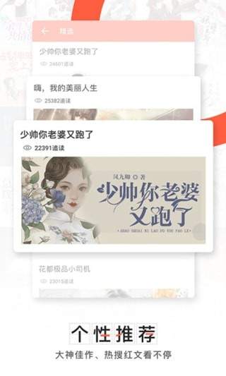 青芒小说截图