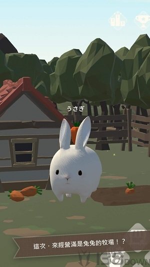 兔子更可爱了太犯规