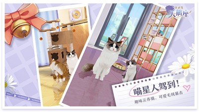 梦间集天鹅座周年庆