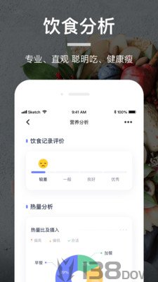 食物派