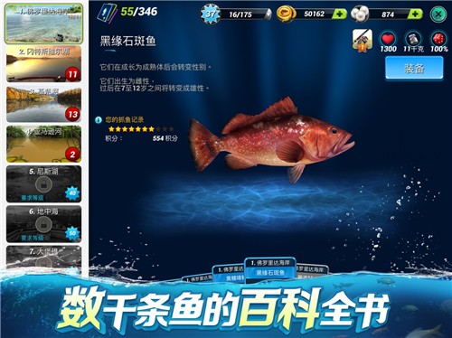 钓鱼大对决无广告