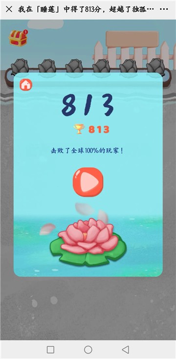 睡莲小