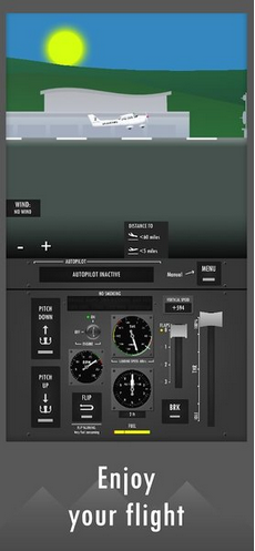 飞行模拟器2D2021
