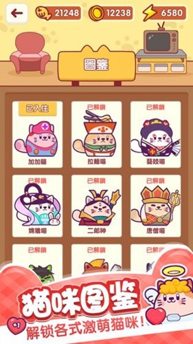 加加猫