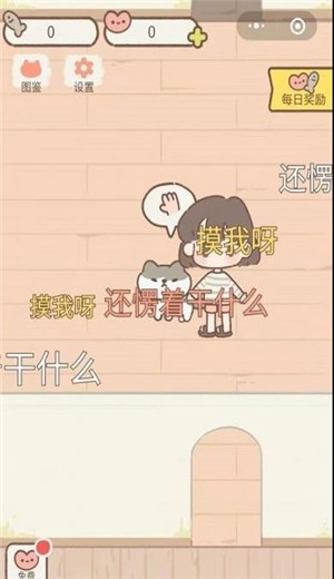 做你的猫
