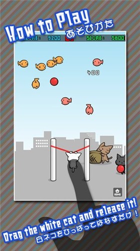 猫咪射击截图