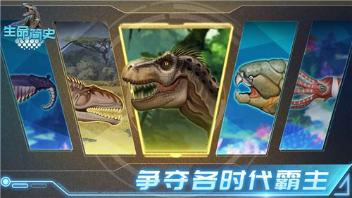 生命简史1.6.6