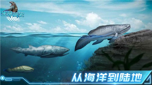生命简史1.6.6