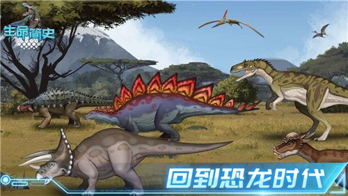 生命简史1.6.6