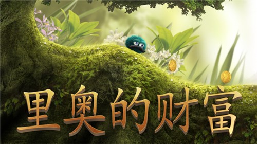 里奥的财富