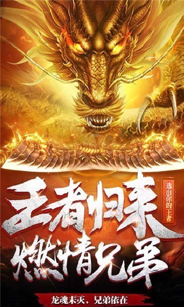 龙魂大陆公益服