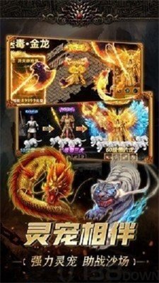 185玉兔传奇
