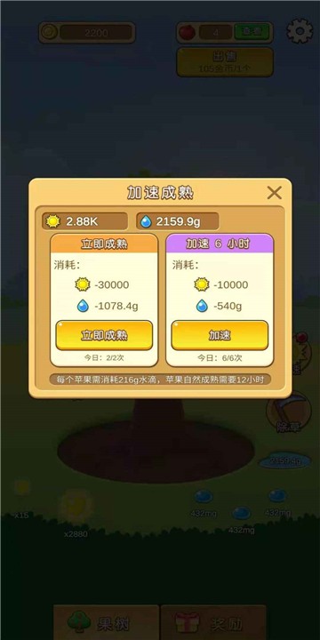 苹果多多