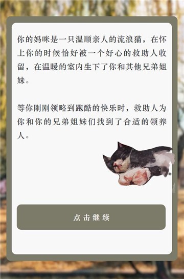 流浪猫的一生