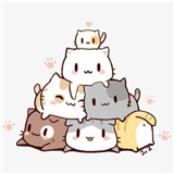 流浪猫的一生家猫篇