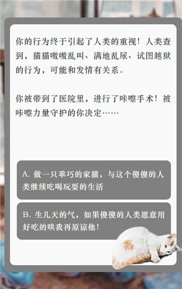 流浪猫的一生家猫篇