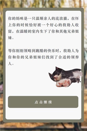 流浪猫的一生家猫篇