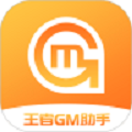 王者GM助手