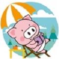 程序猪来啦
