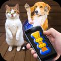 猫猫狗狗翻译器