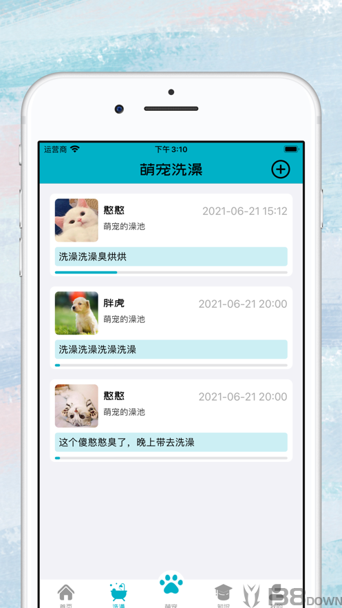 萌宠帮帮